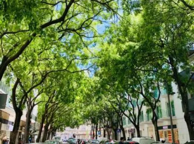 Vm - Cozy & Quiet At Campo Ourique