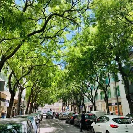 Vm - Cozy & Quiet At Campo Ourique 리스본